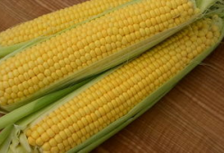 玉米视频,探索农业科技新篇章